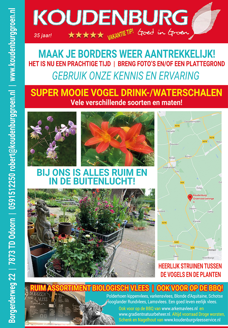 advertentie week 36 2021