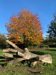 kleuren oktober 2021 1