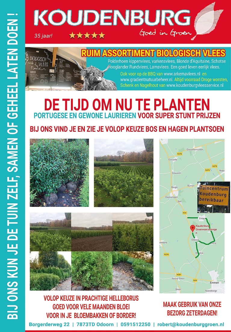 advertentie week 45 2021