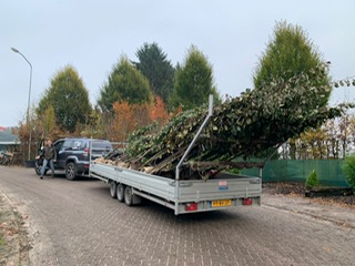 Bomen 2021 nov 2