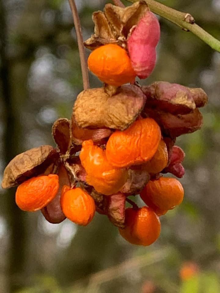 eind november 2021 3