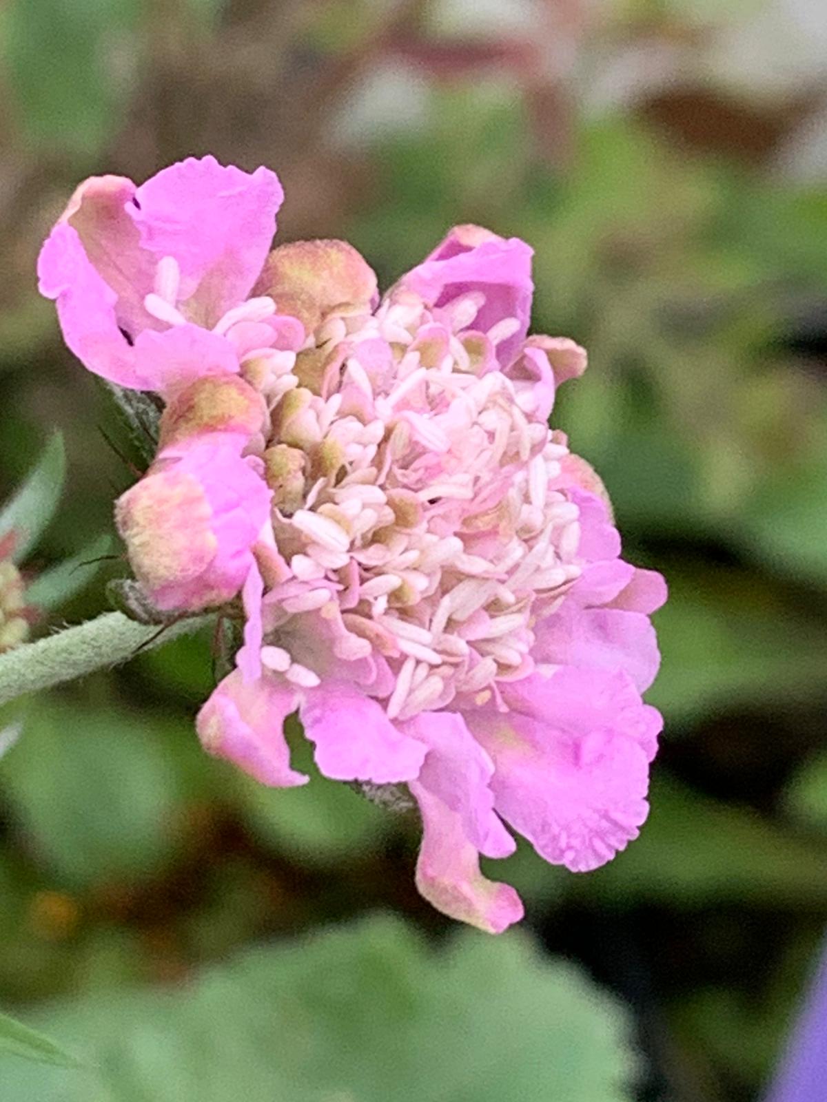 eind november 2021 4