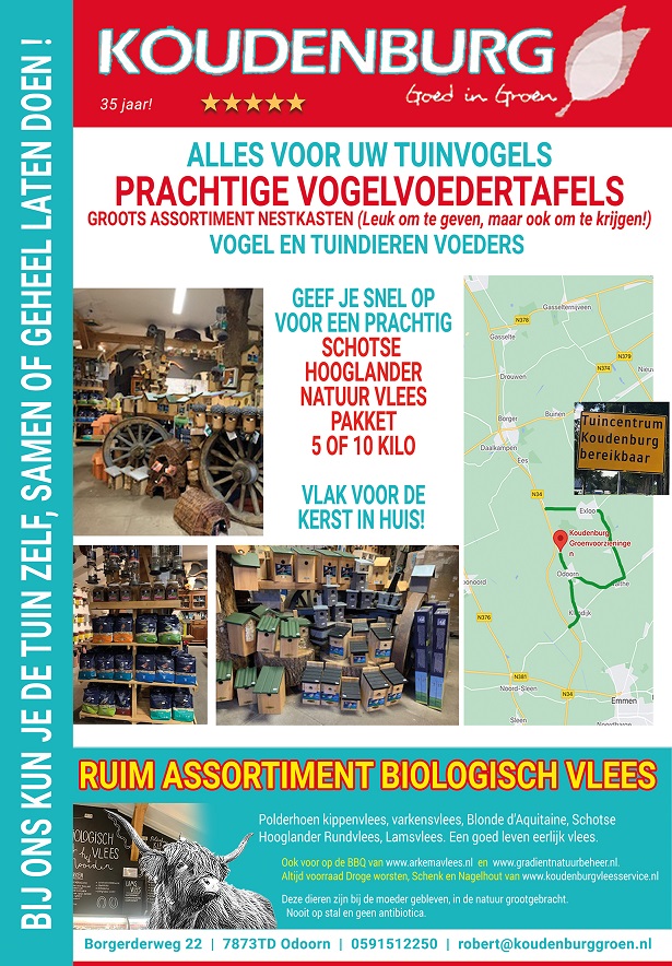 advertentie week 49 2021