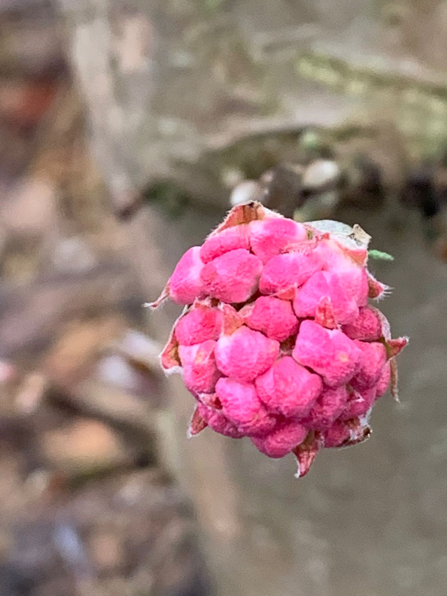 Kleur januari 2022 1