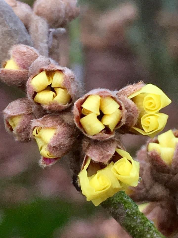 Kleur januari 2022 2