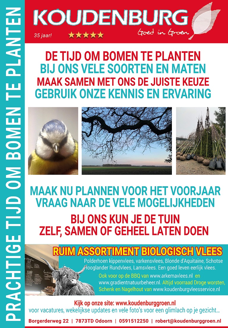 advertentie week 3 2022