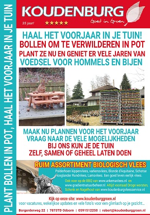 advertentie week 5 2022
