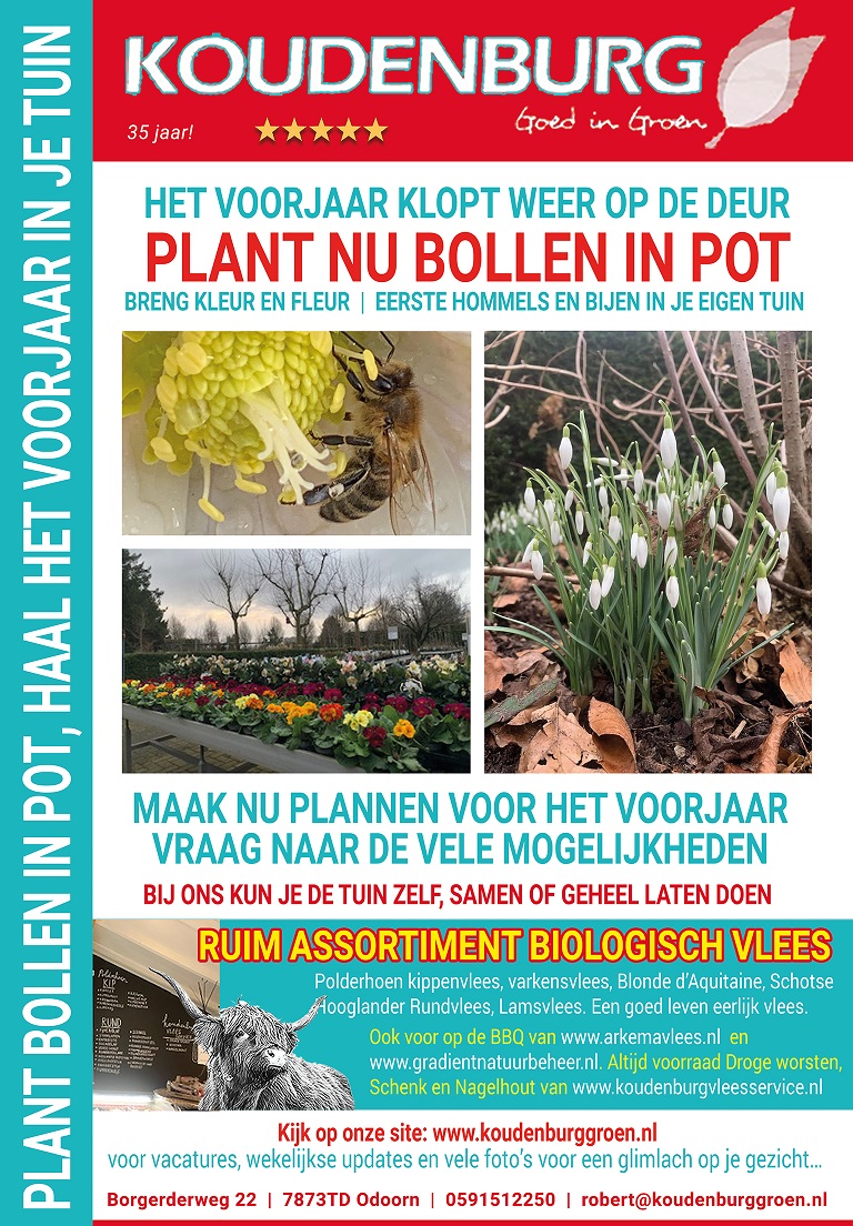 advertentie week 6 2022