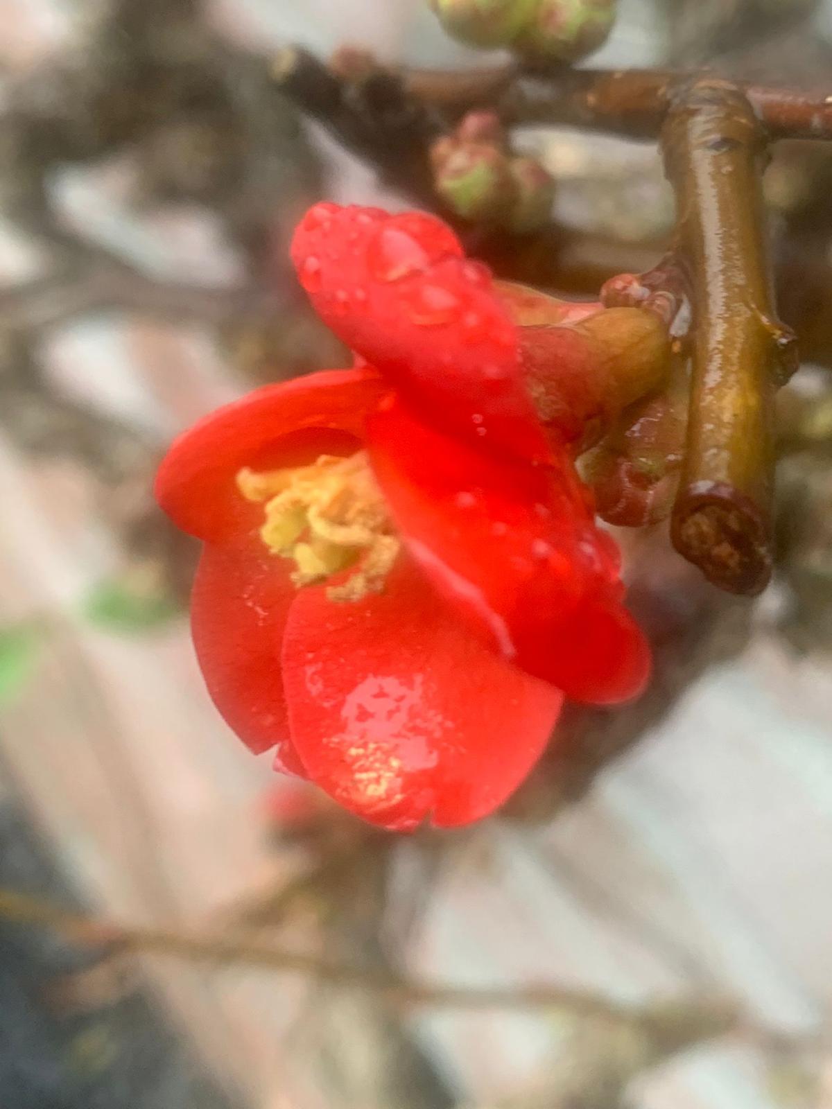 Voorjaar 2022 febr 6