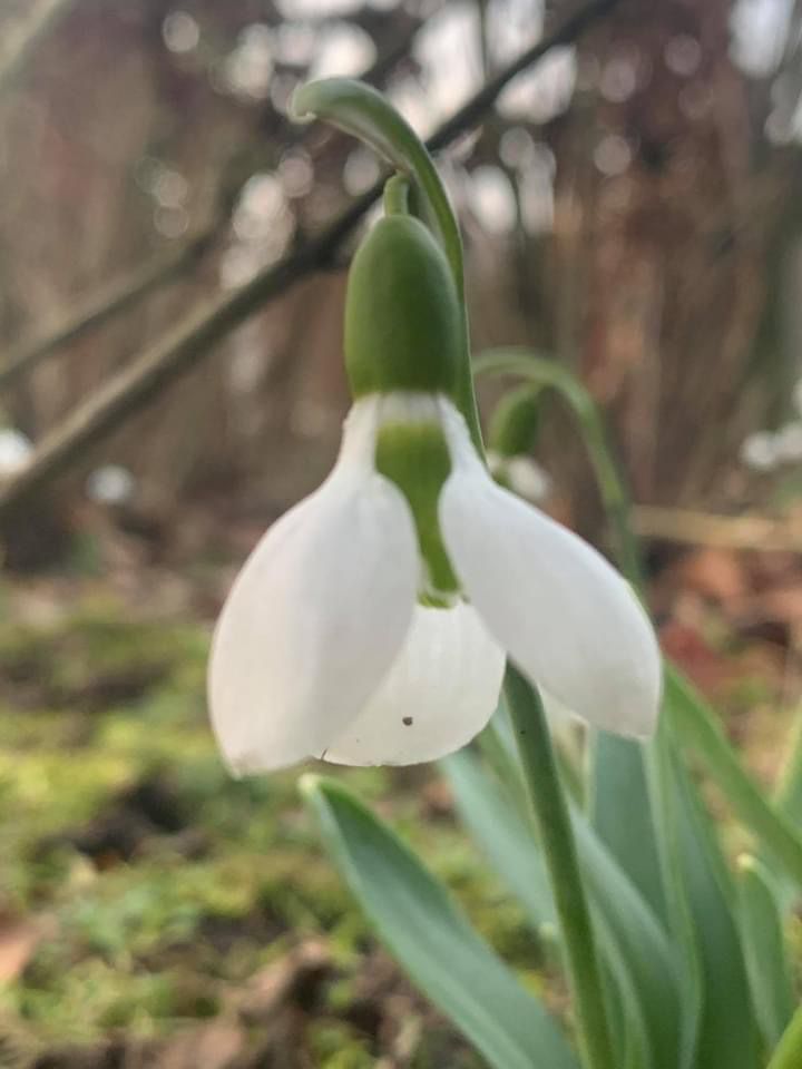 Voorjaar 2022 febr 8