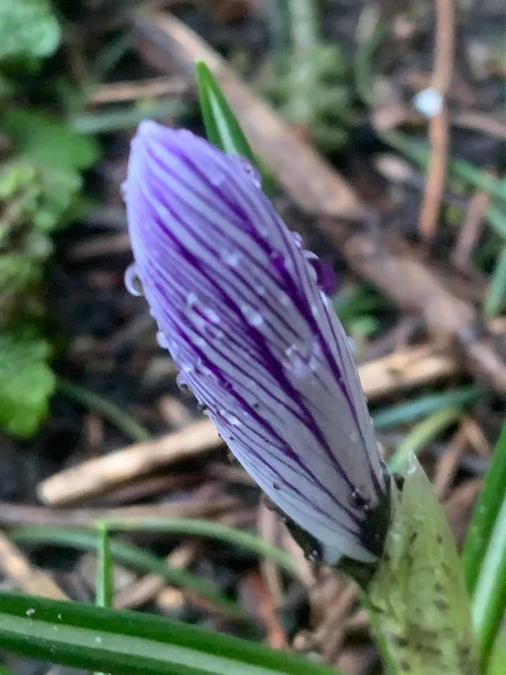 Voorjaar 2022 febr 9