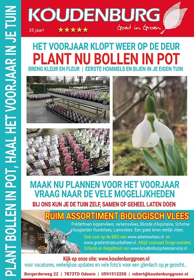 advertentie week 7 2022