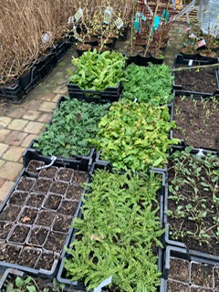 Nieuwe aanvoer 2022 2