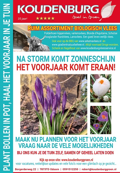 advertentie week 8 2022