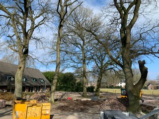 Project maart 2022 2