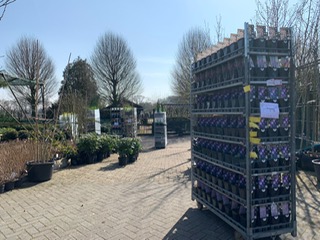 Nieuwe aanvoer 2022 maart 3