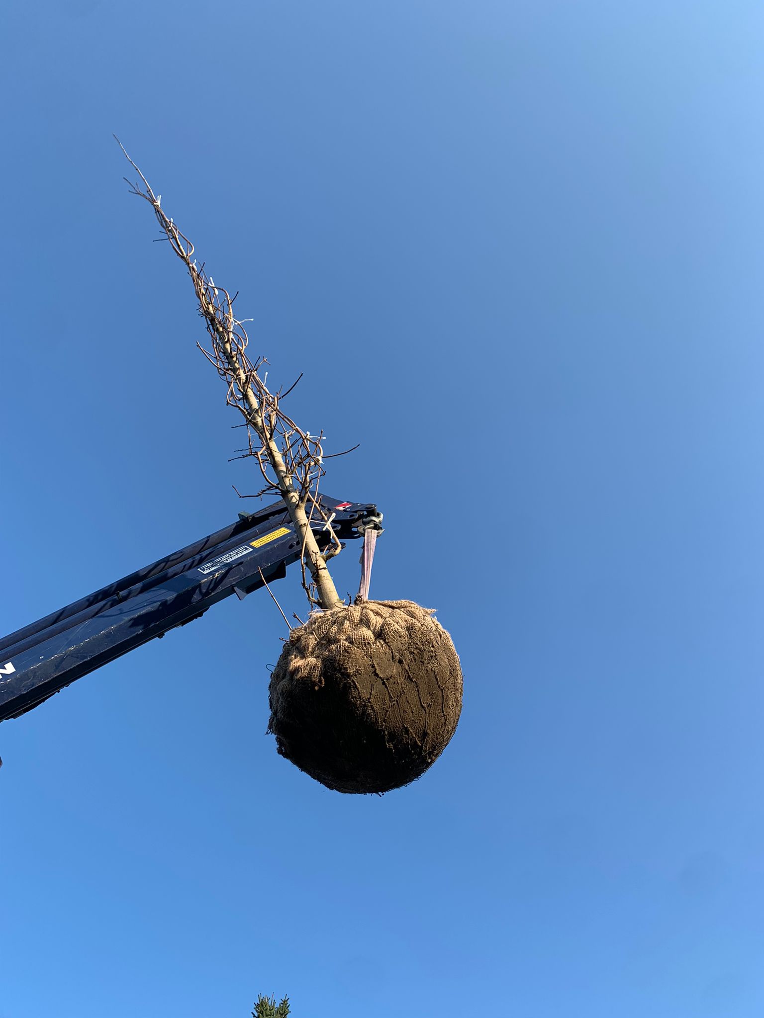 Nieuwe aanvoer 2022 maart 4