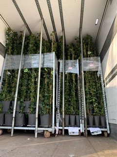 Nieuwe aanvoer 2022 maart 5