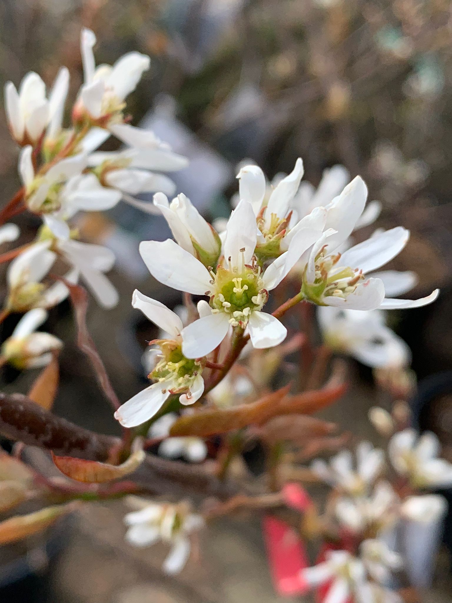 kleuren april 2022 3