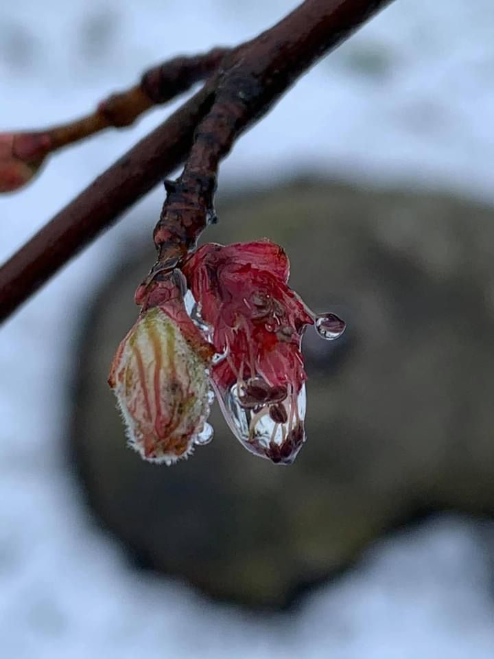 kleuren april 2022 4