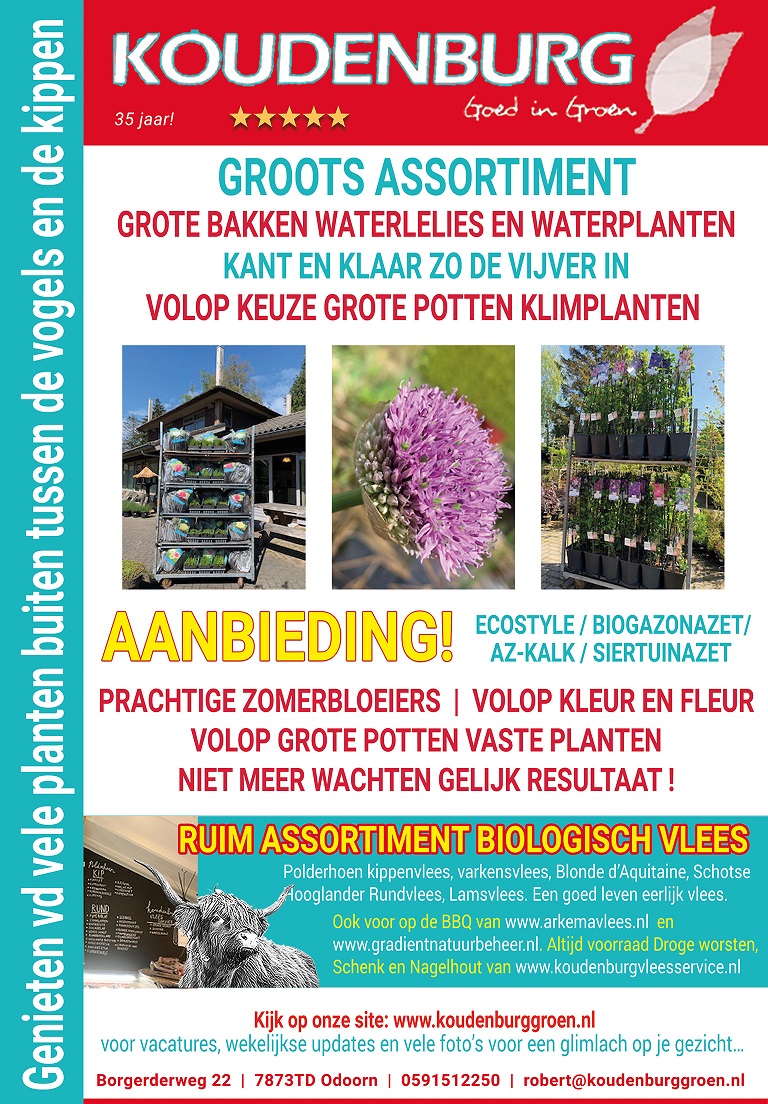 advertentie week 19 2022