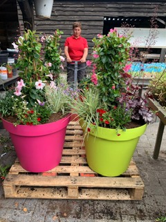 gekleurde bakken 2022 3