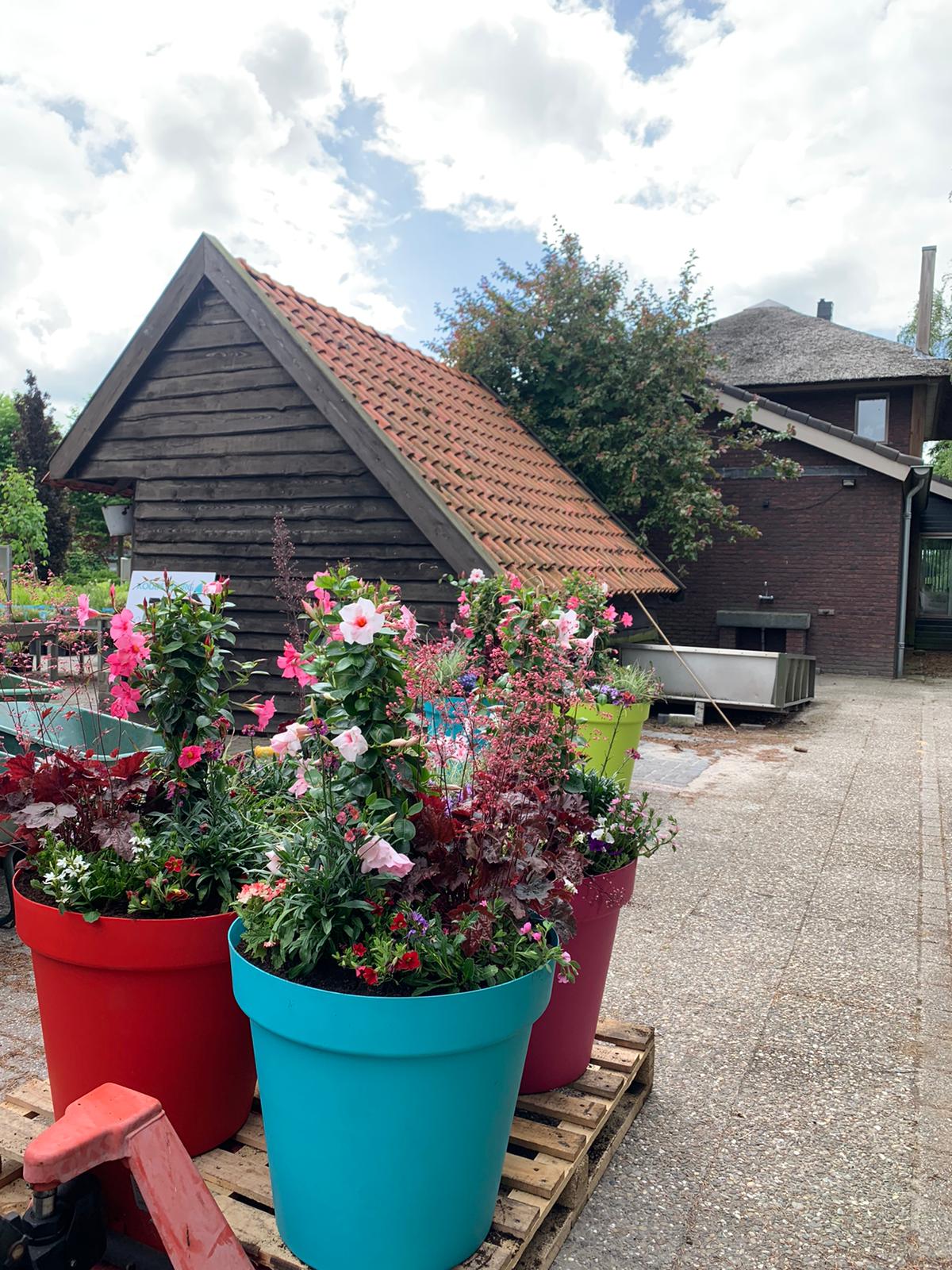 gekleurde bakken 2022 4