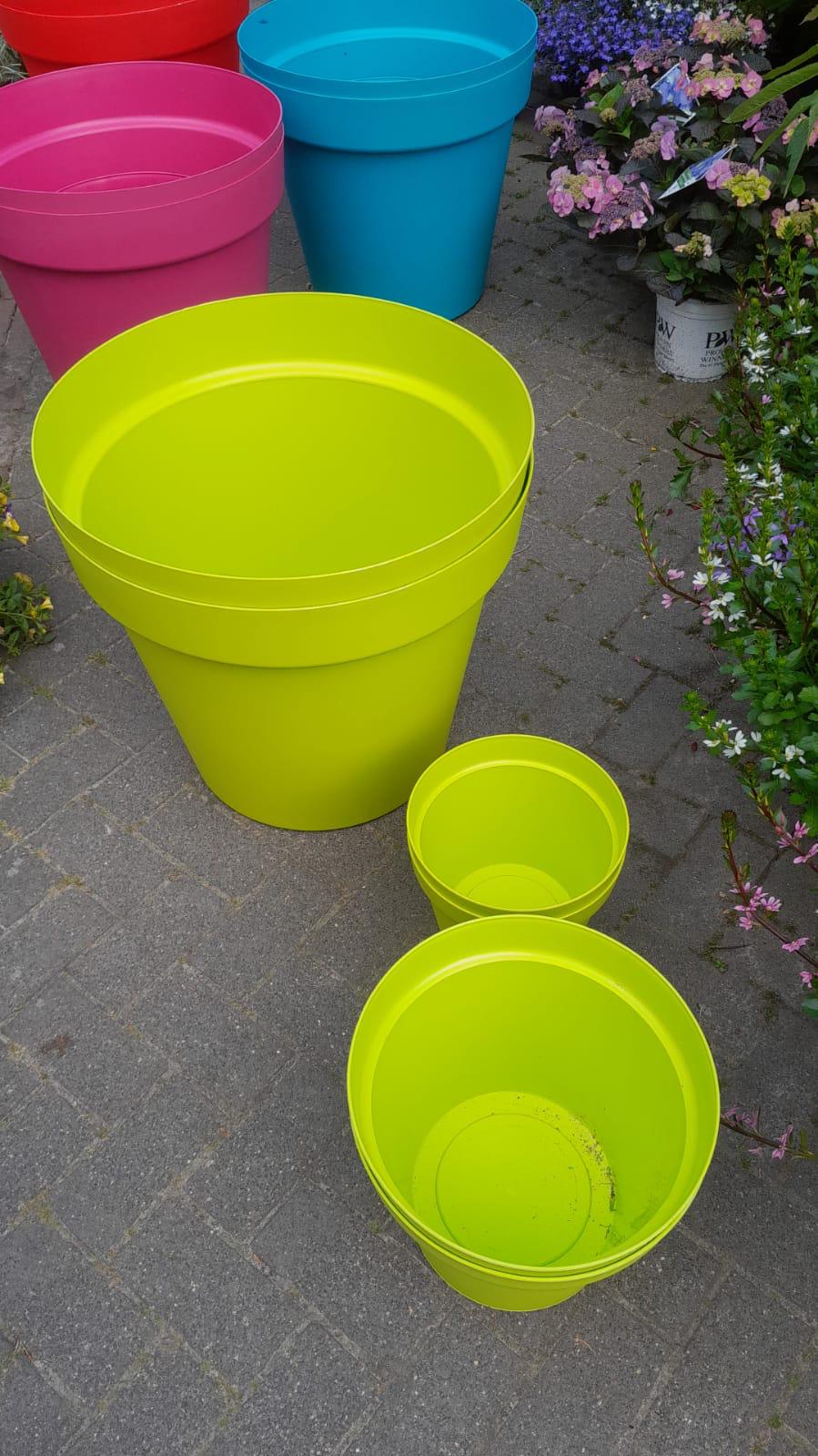 gekleurde bakken 2022 5