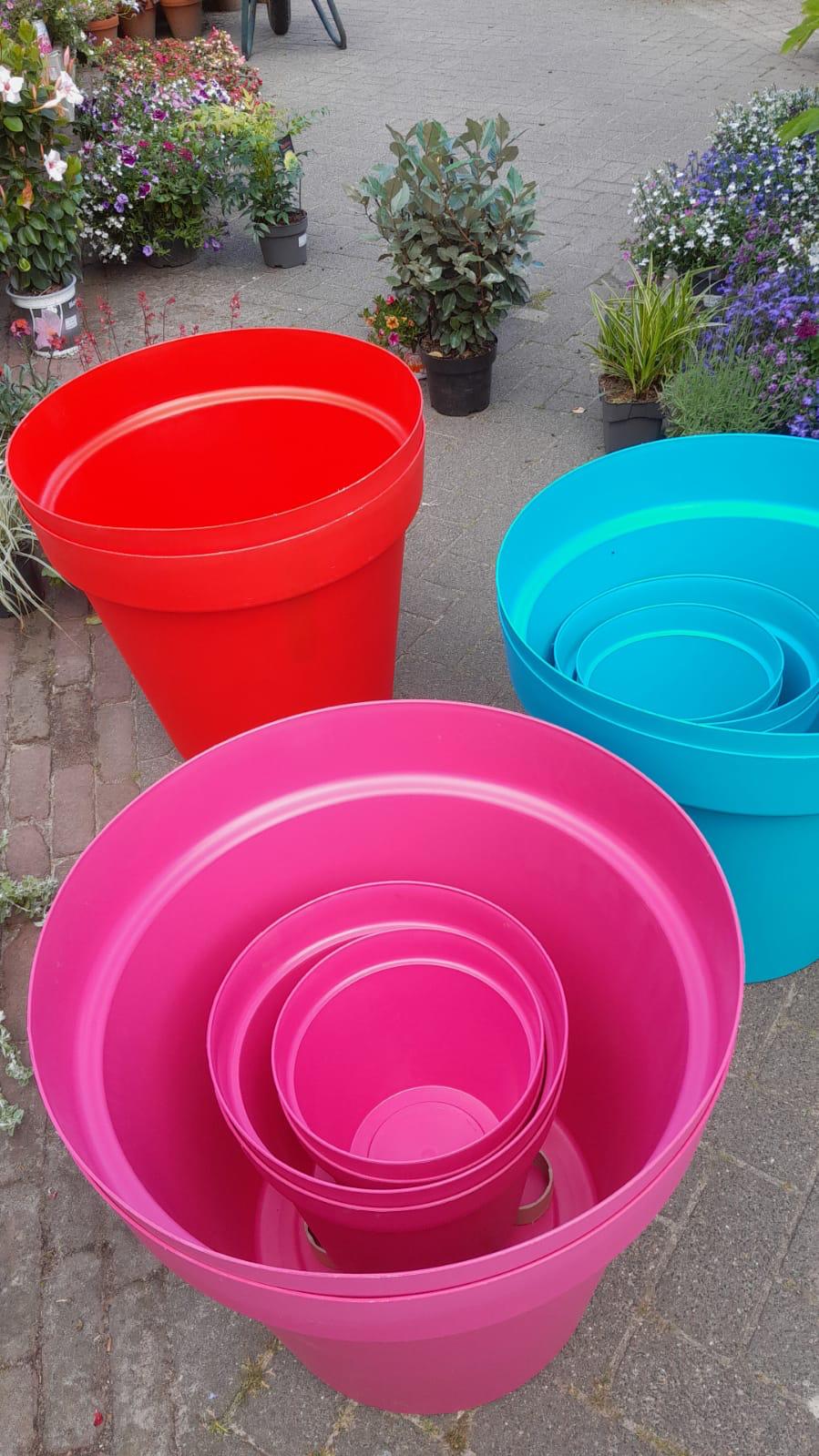 gekleurde bakken 2022 6