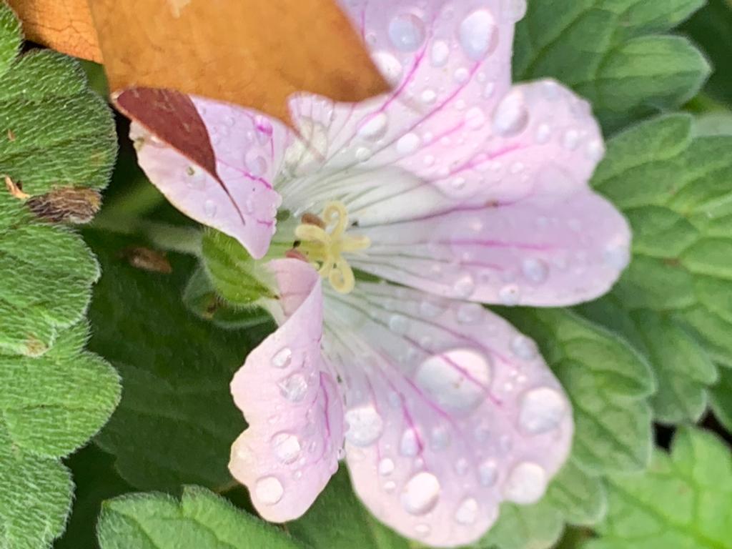 November half 2022 2