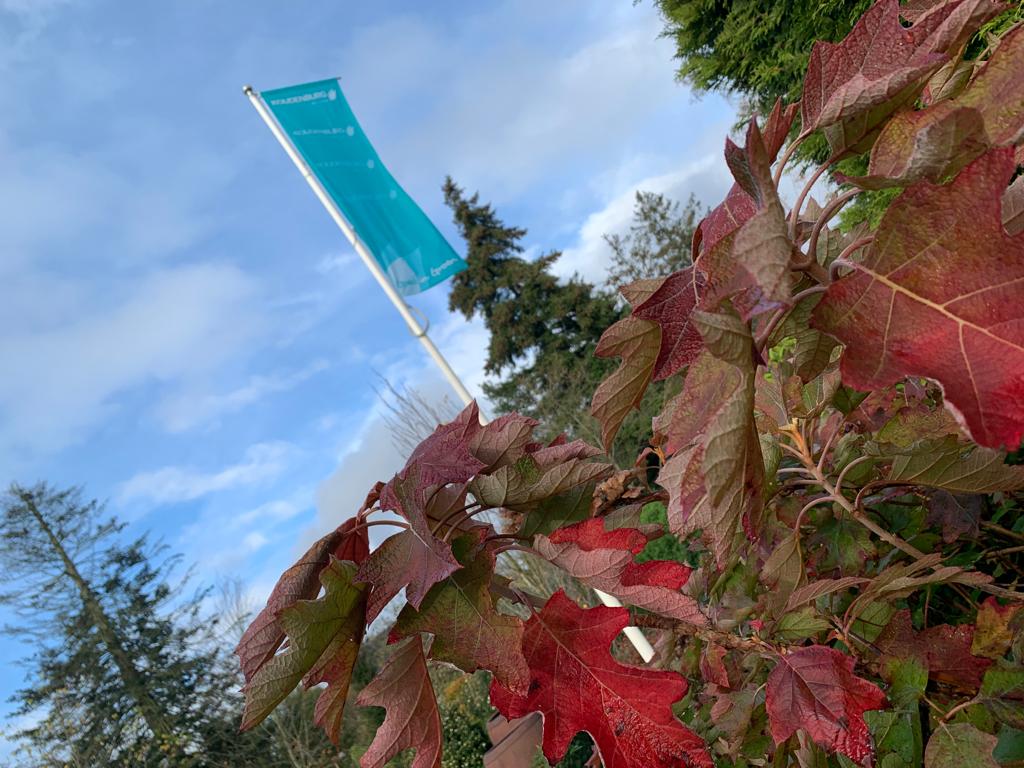 November half 2022 3