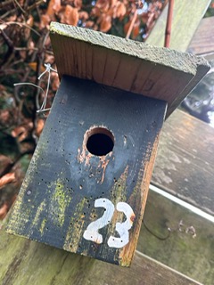 Nestkasten 2023 febr 3