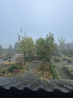 Regen 2023 12