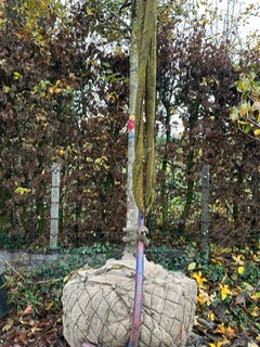 Aan en Afvoer nov 2023 2