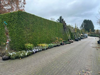 Aan en afvoer nov 2023 4