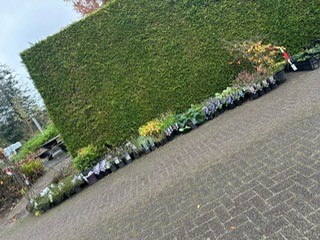 Aan en afvoer nov 2023 5