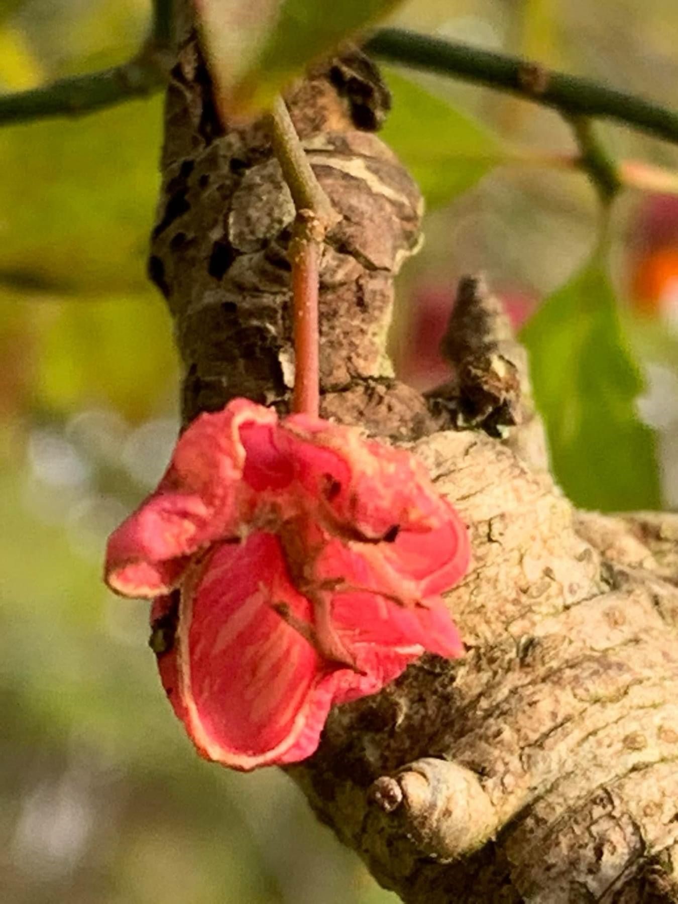 Eind november 2023 3