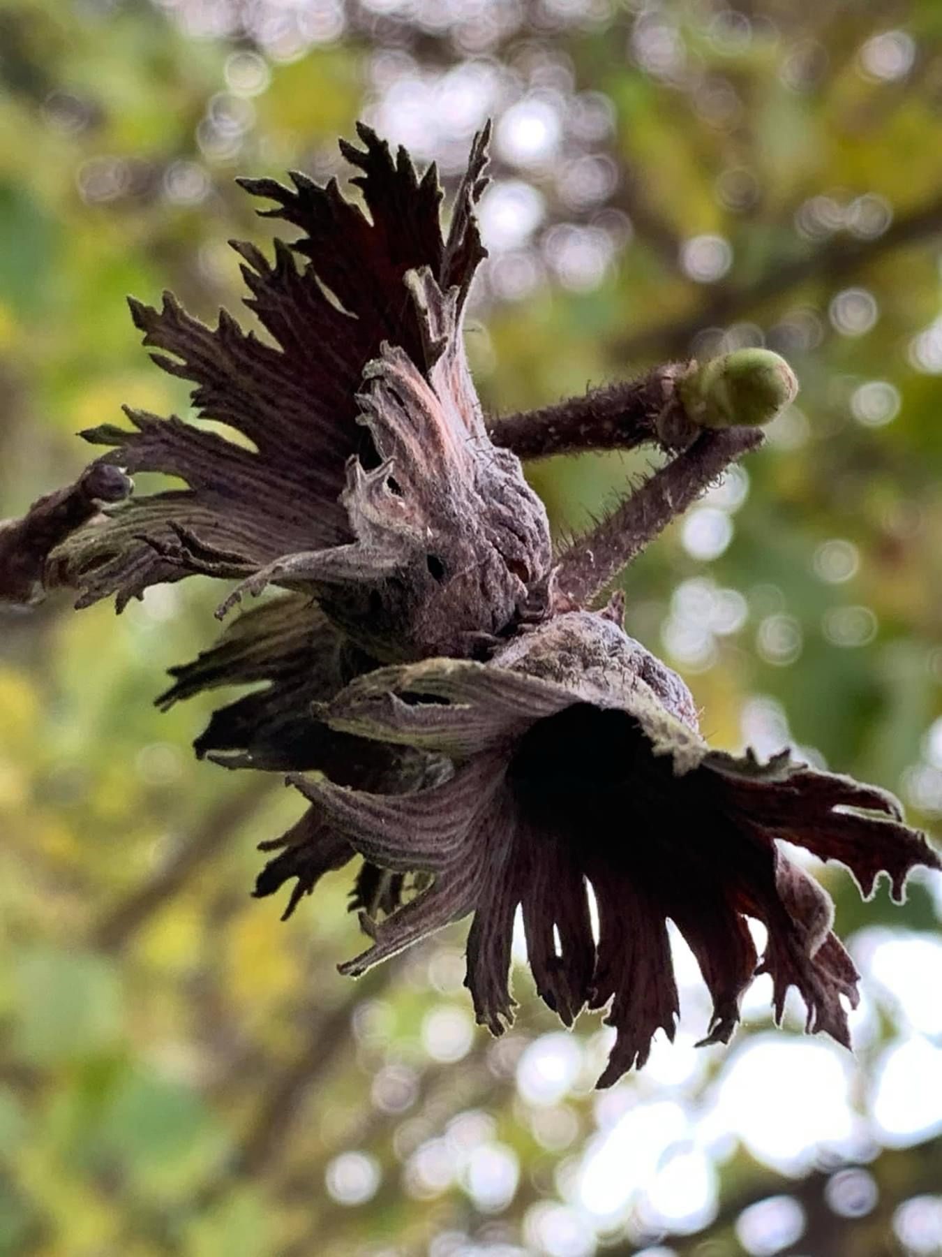 Eind november 2023 4