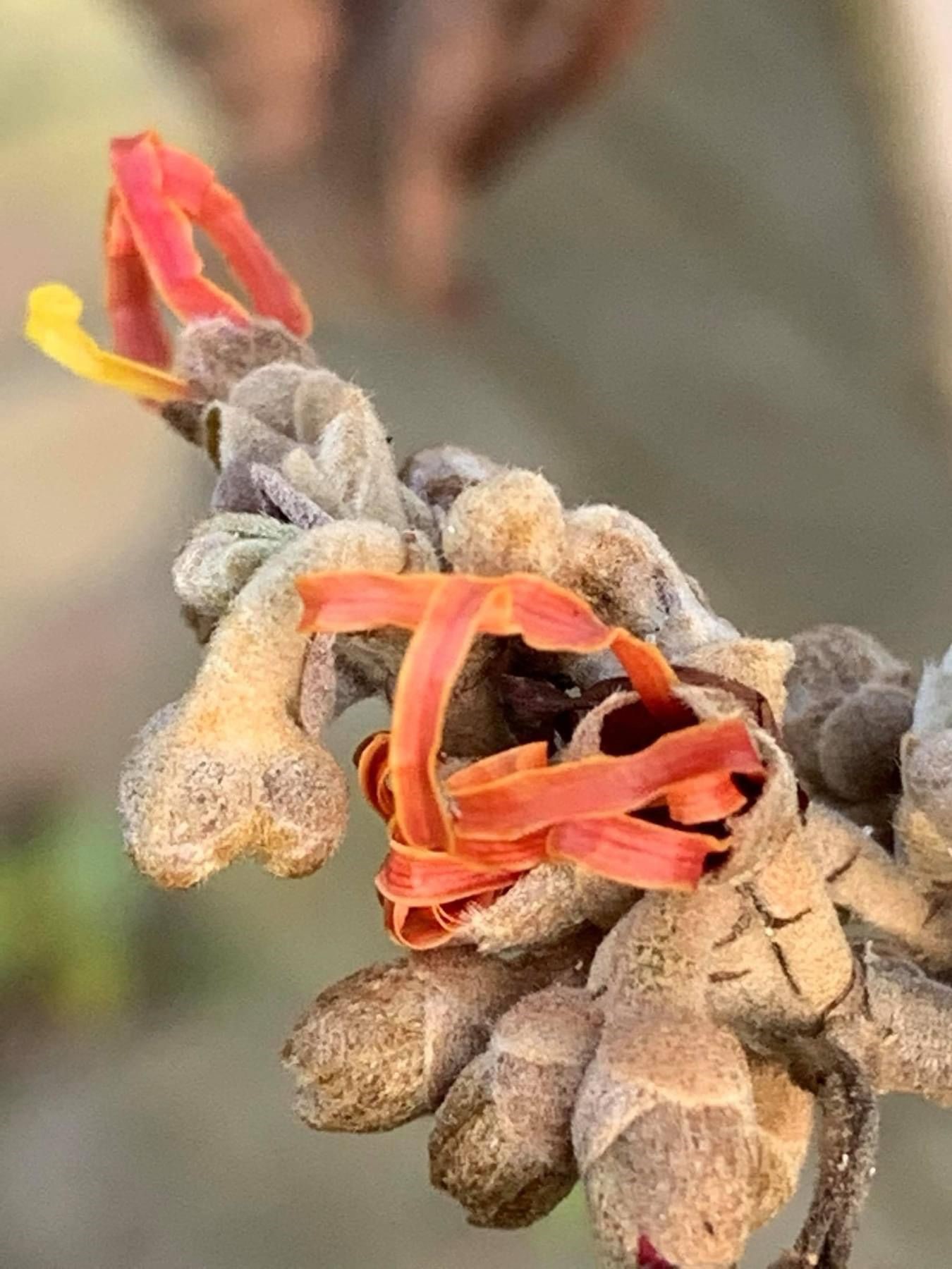 Eind november 2023 5