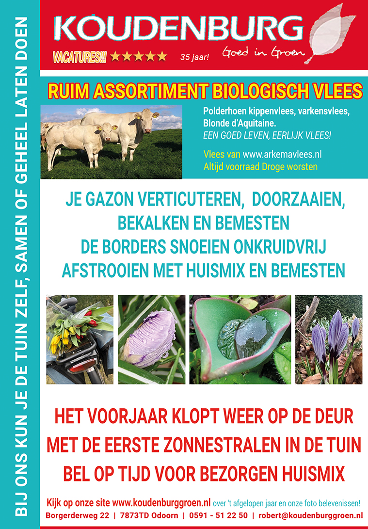 advertentie 2024 week 9