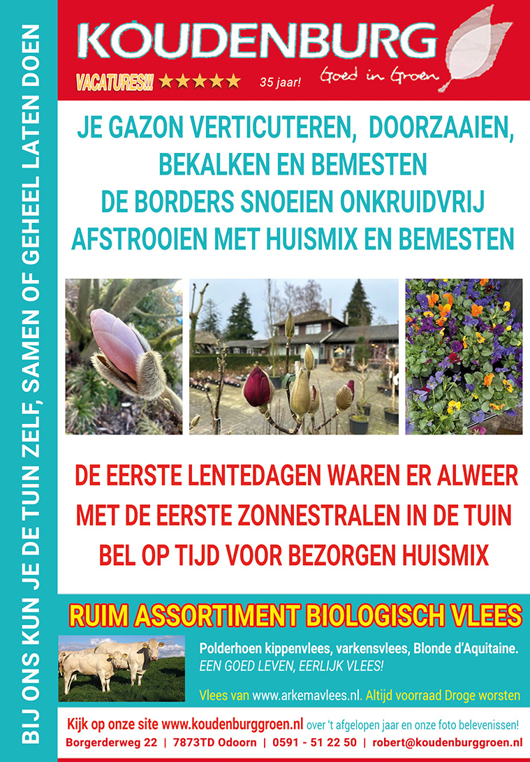 advertentie week 11 2024