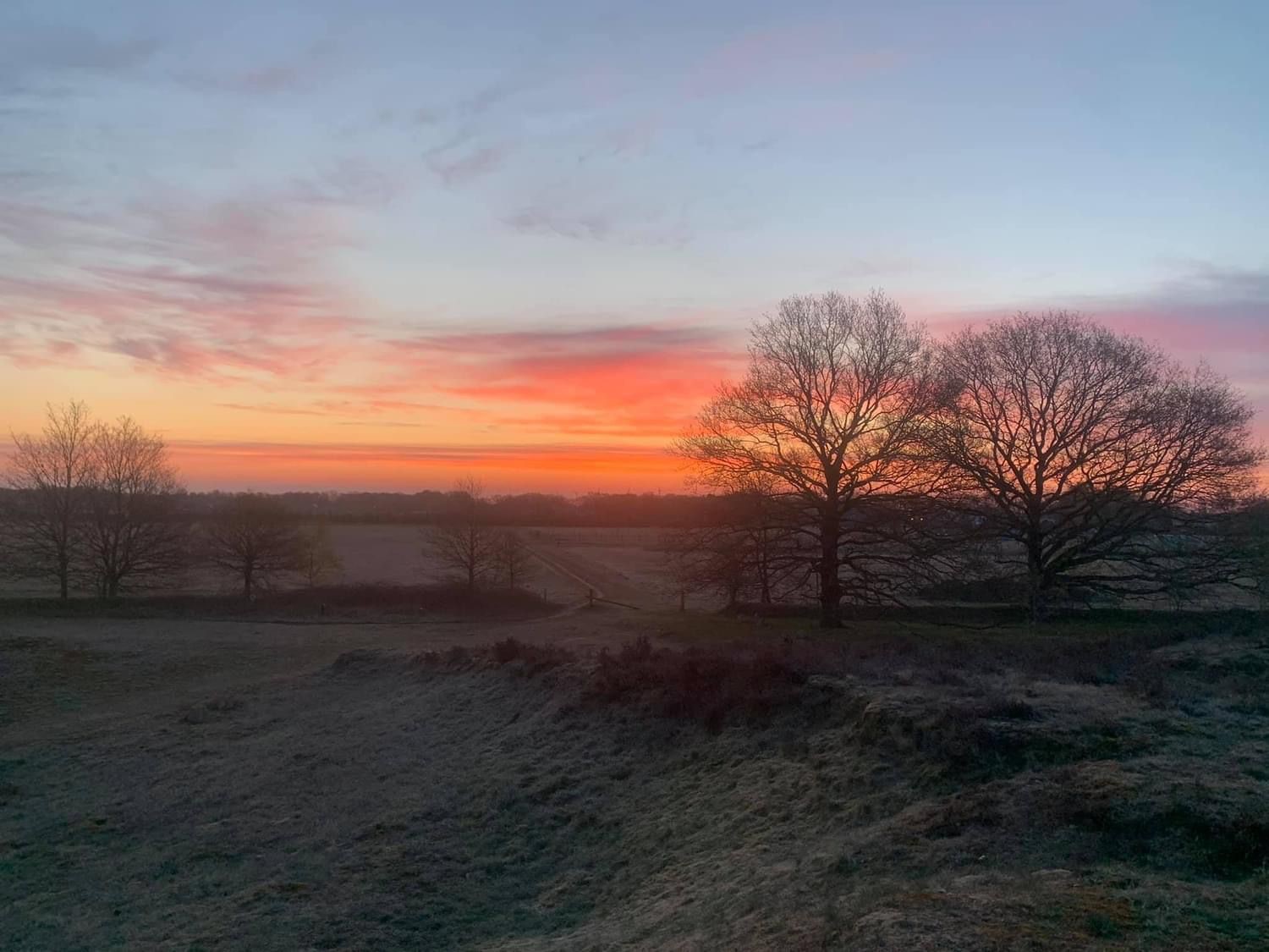 Ochtend lucht 2024 2