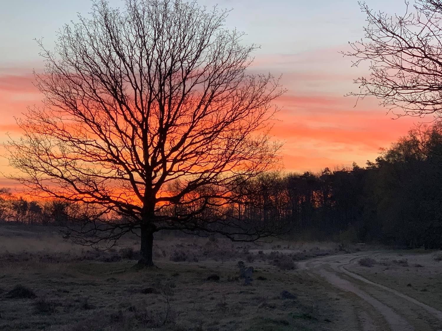 Ochtend lucht 2024 3