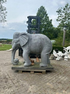 Olifant 4