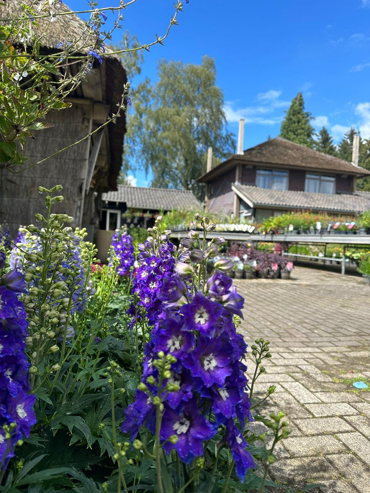 vaste planten 2024 4